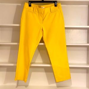 Never worn LOFT Marissa Capri - Size 6